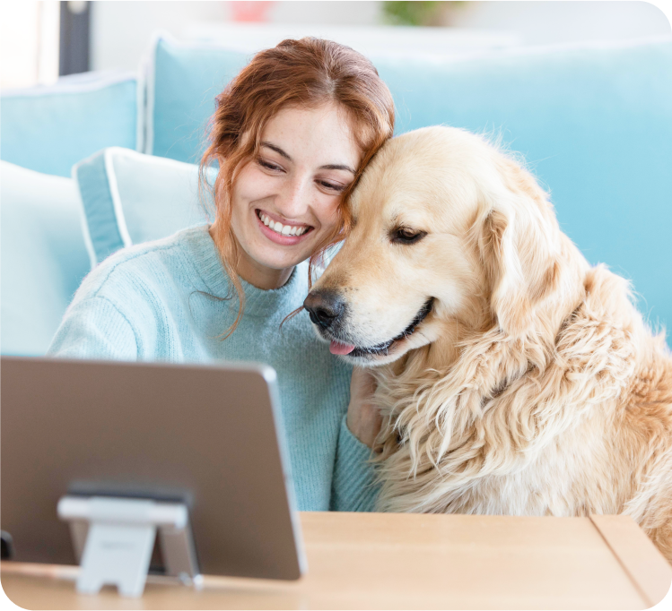 Vet examining dog